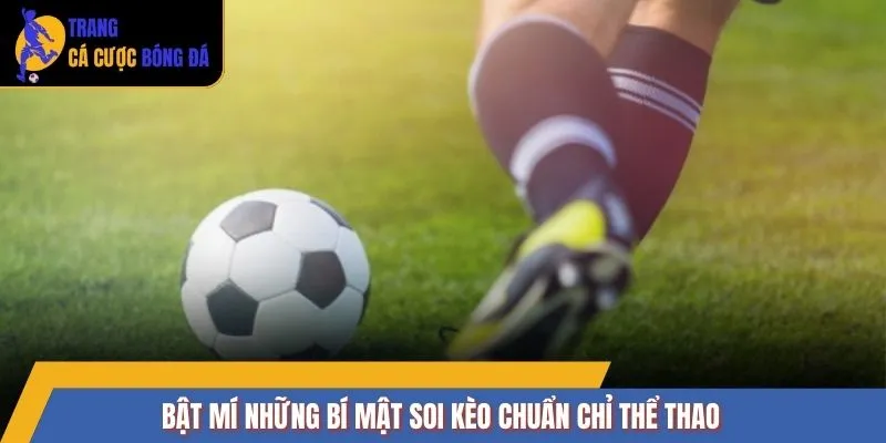 Bật mí những bí mật soi kèo chuẩn chỉ thể thao