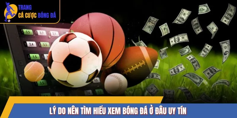 Lý do nên tìm hiểu xem bóng đá ở đâu uy tín
